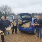 collection of bug boxed